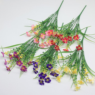 ���R�d���滨5�^����С�u�ռҾ��bٻ�ˮ�ݾGֲ�����c����