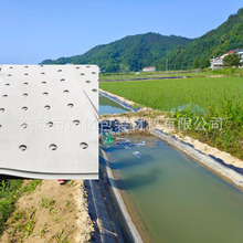 源头厂家鱼菜共生浮板eva水上植物漂浮板水生浮床绿植花卉浮岛床