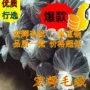 超柔服装玩具短毛绒