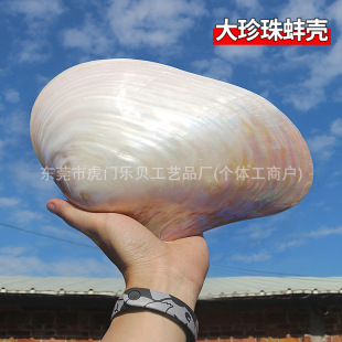 ��Ȼ����ؐ�� �������p������ؐ���� ���к��Ҿӄ����ղ�Ʒ�[��