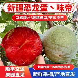 红枣干;葡萄干;哈密瓜