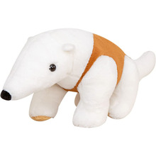 2022�¿���ܛ����ʳρ�Fë�q��߶��Ɓ�D�S�Ҷ�������������ż