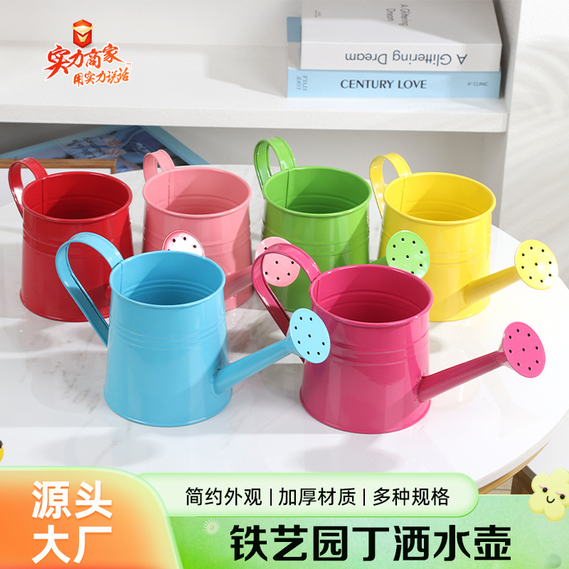 Regadera de hierro de colores vibrantes para jardinería, regadera al por mayor para floristerías, flores frescas, ramos, arreglos florales y exhibiciones florales.