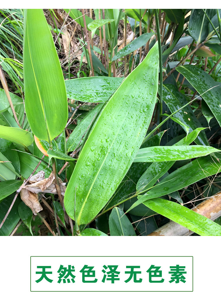 【新鲜粽叶】粽叶批发批货新鲜粽子叶 箬竹叶 端午节包粽子叶子-阿里巴巴
