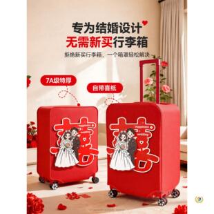 �������ֽY��tɫ���o�����Ƥ��20����������24����26���U�ܴa��