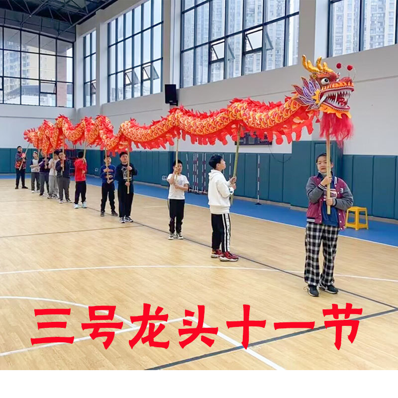 春節イベントパフォーマンス用の龍と獅子舞の小道具、大人用の龍ランタン、学生運動会のステージ用の9セクションドラゴン|undefined