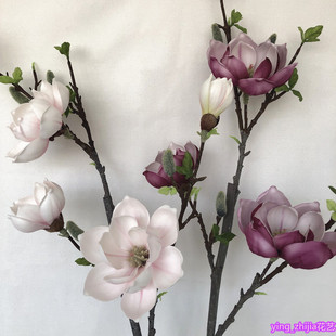 �������m�����m֦��ػ��ɘ�֦��ֻ/���Ƶ��Y�gܛ�b��