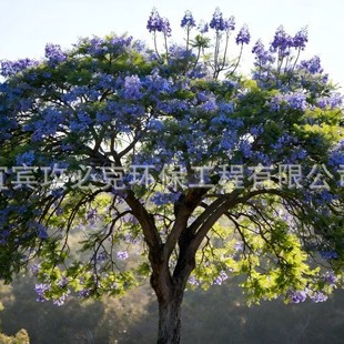 �{��麣��f�����؈@�־G��ͥԺ�G�����@�G�����������е����l���S