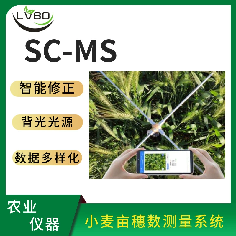 Ханчжоу Lvbo SC-MS Система измерения количества ушей пшеницы Пакетный анализ Точное отображение Количества зерен