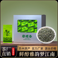贴牌定制oem/odm 茉莉花茶叶茉莉飘雪碧螺春新茶2025绿茶袋泡简装