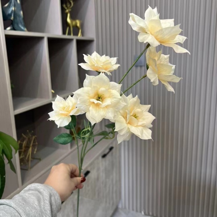 샴페인