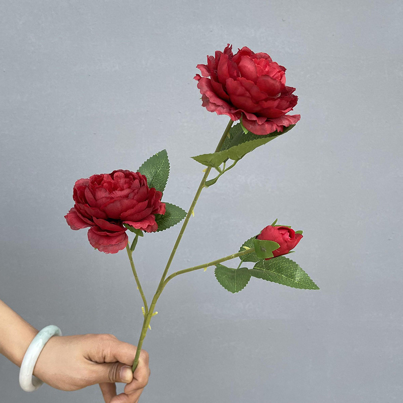 3 head of peony-dark red