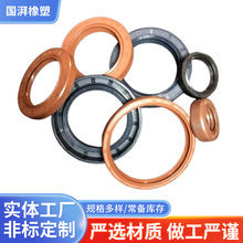 FKM氟橡胶氟胶骨架油封定制耐腐蚀旋转轴封TC唇形密封圈Y型耐油