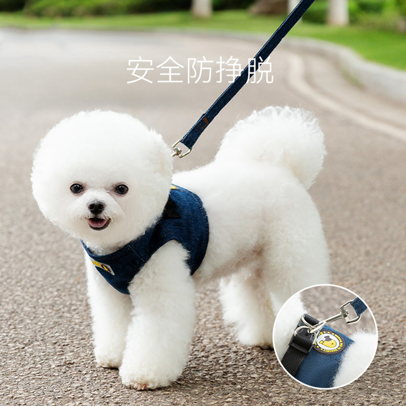 Perro de viaje Chaleco de mezclilla cuerda de tracción perro mascota cuerda para caminar gato correa para el pecho anti-rotura gato transpirable cuerda para caminar