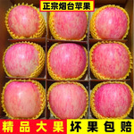 苹果新鲜水果当季整箱正宗山东烟台红富士苹果丑苹果水果一件代发