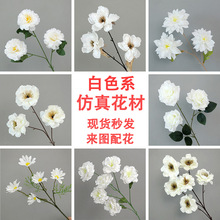 ��ɫϵ���� ��c���滨�������廨�bٻ��҃����쾰�����ٻ�