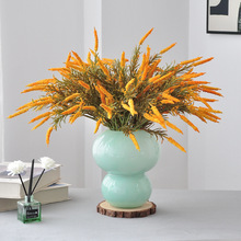 ��β�����K�ݷ��滨���W�Ҿ�ܛ�b��β���bٻ�������ɫ��β��