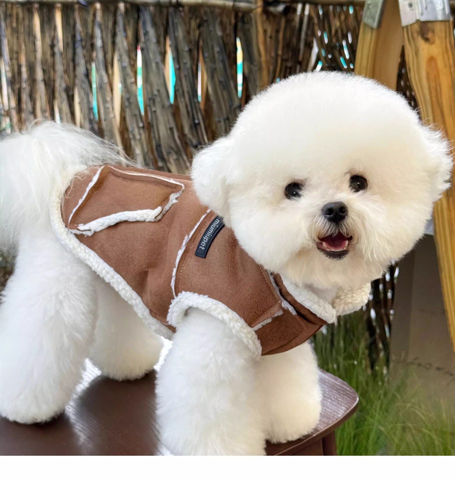 Moletom com capuz de inverno para cães pequenos bichon yorkshire_voghion.com