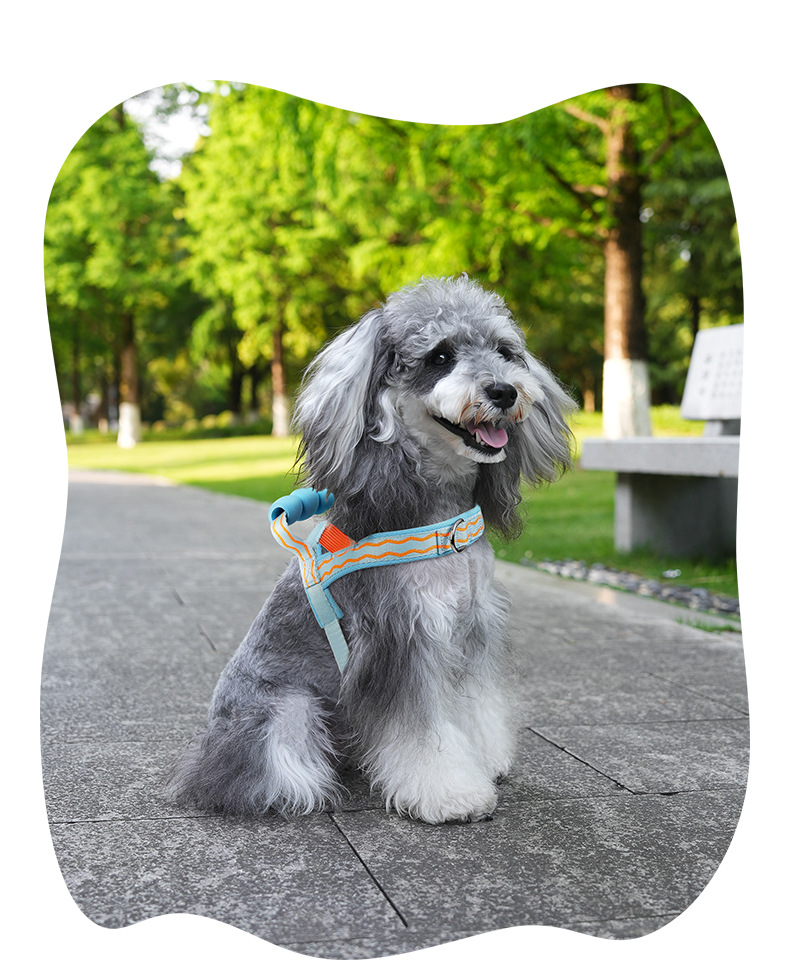 Breathable T-shaped Dog Harness And Leash Set For Small Medium Dogs_voghion.com