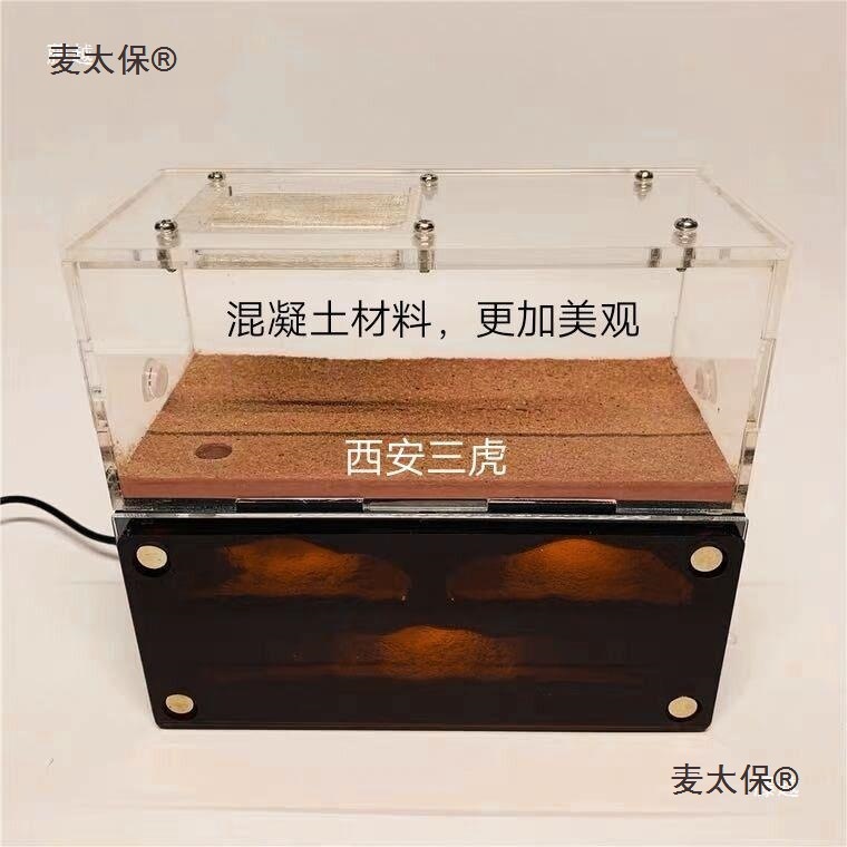 天空之城蚂蚁巢加热款蚂混凝土巢蚂蚁工坊蚂蚁城堡新后巢蚂麦太保