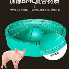 �i�üӺ�ͺψA�����i�����i�A���ϲ۸ɝ����ʳ��С�i�ϲۈA�P