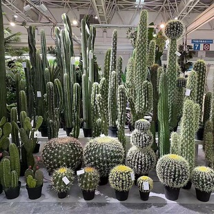 �S�����l����������������������PU���;Gֲ��ؔ[����������ɳĮ