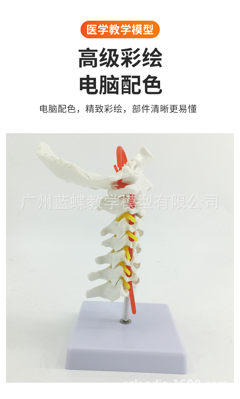 详情_04.jpg