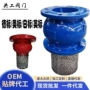 球墨吸水水泵双法兰底阀