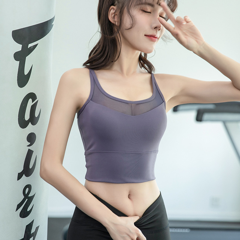 소스가지 보라색 [얇은 어깨]