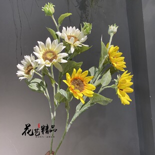 �������տ�̫ꖻ���ɫ��������r��ˇ�g��@���P�͏d���ҽ����k��