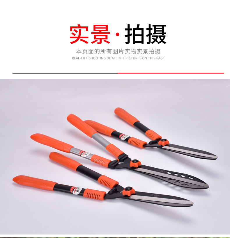 简单详情排版1_13