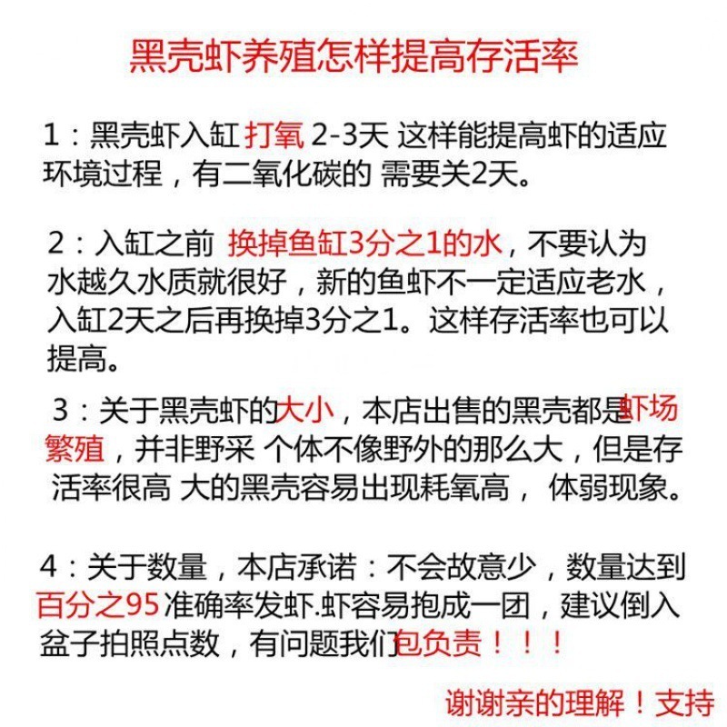 黑壳虾冷水除藻虾观赏虾宠物虾清洁虾虾苗饲料水族箱鱼缸一件代发