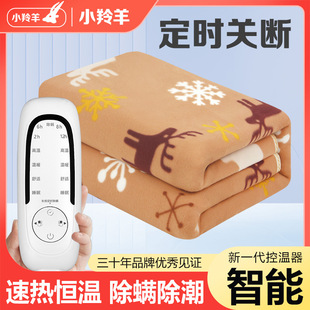 Small antelope electric blanket factory wholesale double double control automatic power off timing switch cross-border thickened electric mattress