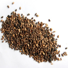 辰ɷNɷN ɷN ľNľNɘN