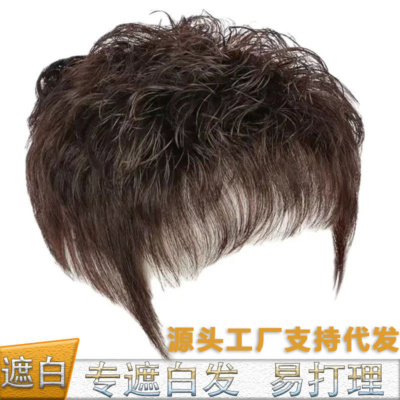 Light and Thin Wig Women's Overhead Short Curly Hair Mother Middle-aged and Elderly Hair Repair Sheet Real Hair Covering White Hair Summer Wig Women