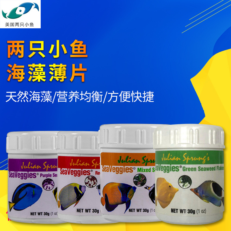 两只小鱼七彩神仙海水海藻薄片紫菜薄片开口鱼食鱼粮鲽鱼仙鱼开口