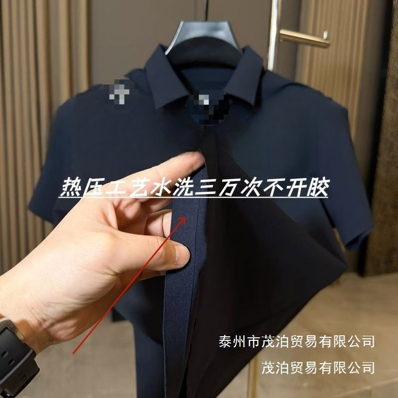 Summer New Version T-Shirt Sant Quick-Dry Polo Men's Short-Sleeve Shirt Business Lapel Casual Silicone Wholesale