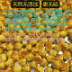 Golden scented tea wholesale Golden scented tea bulk wholesale half-open fish mouth flower bud wholesale [Golden scented tea factory wholesale]]