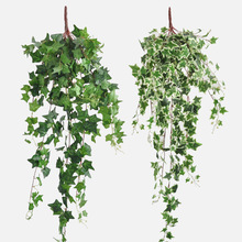 ���泣���پGֲ120cm������ɽ����ֲ�ﴹ�쳣18�^���ٷ����ٗl