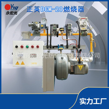 �ձ���ӢDCM-20 20�����Ȼ��/Һ����ͨ��ʽ����ȼ��������JATE