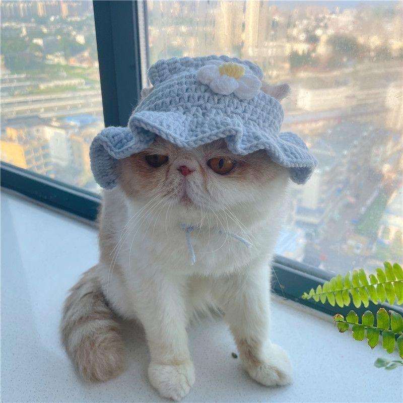 宠物头套猫咪狗狗编织帽子道具头饰搞笑变身服批发|undefined