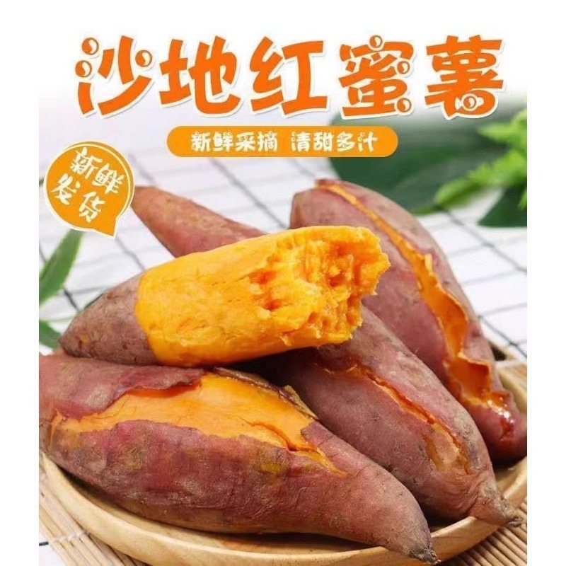 新鮮な蜂蜜芋、龍九砂糖芋、農園産芋、掘りたての黄心芋、山芋|undefined