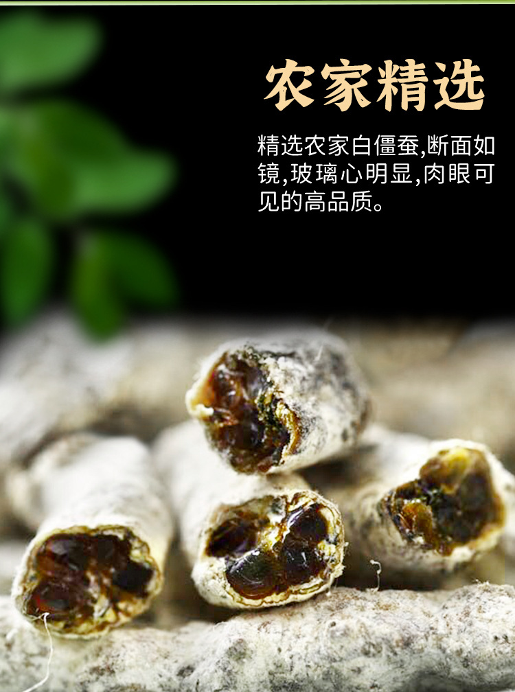 White Silkworm Jiang Can 500g Dried Bombyx Batryticatus Traditional Chinese Herb for Decoction and External Use quality and texture