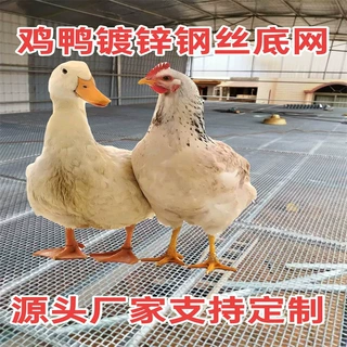 定制鸡鸭羊床漏粪编织钢丝网养殖围栏镀锌铁丝防护轧花网猪床底网