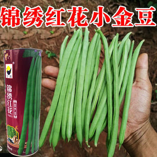 �o�ܶ��N�Ӷ����ļ����N�����������߲��ݲ˶��ض�����ܶ��N�ⶹ