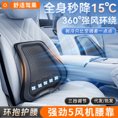 車の腰は車で腰を保護します。