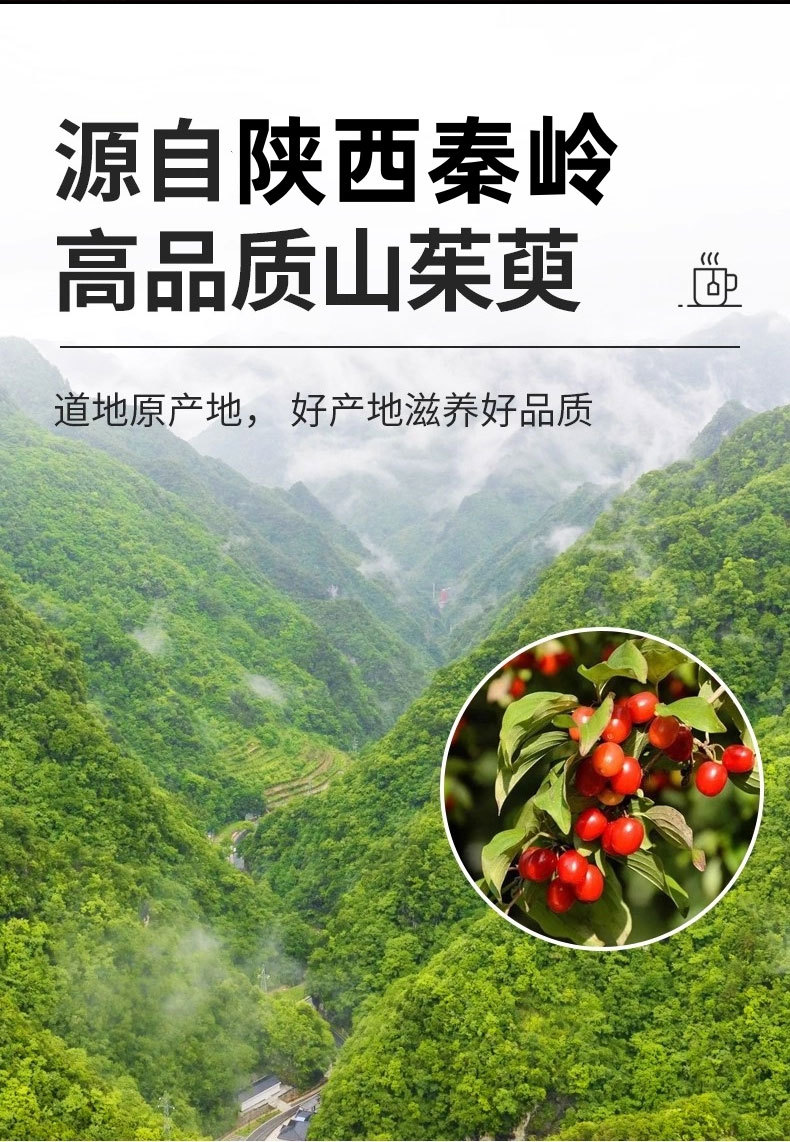Shan Zhu Yu (Cornus officinalis) — Dried Pitted Dogwood Fruit, Qinling Origin Food Herb for Tea overview