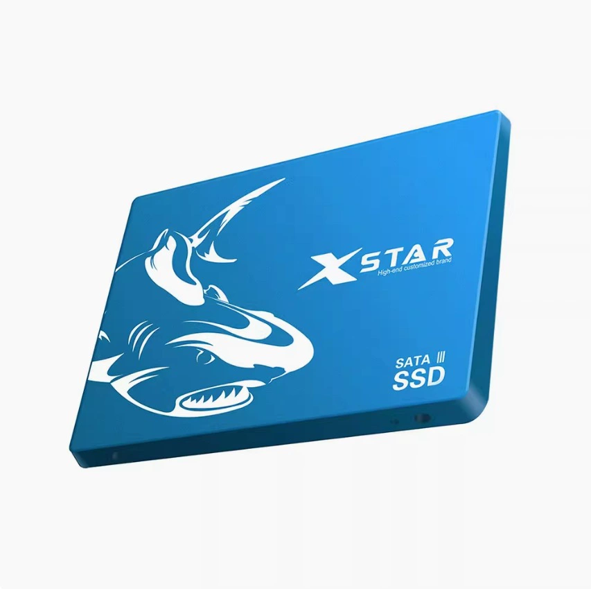 Sabretooth 512G SSD Solid State Drive for Desktop