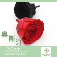 A級バレンタインローズ/オーステンデ/永生花/2-3cmローズヘッド/メーカー卸量多め従優