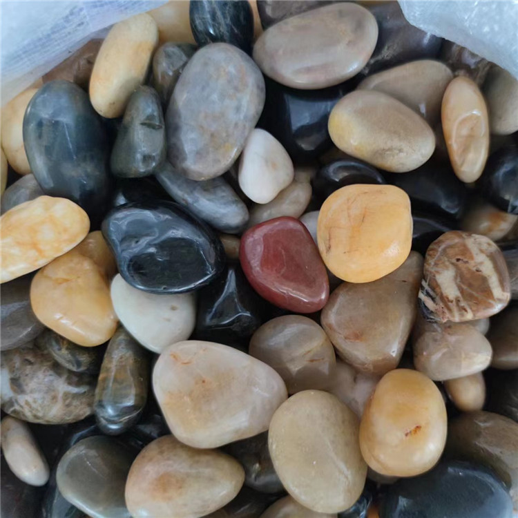 微信图片_20230701105643